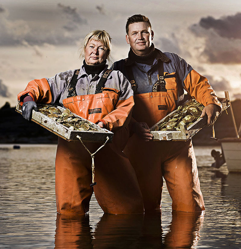 Havstenssunds-ostron