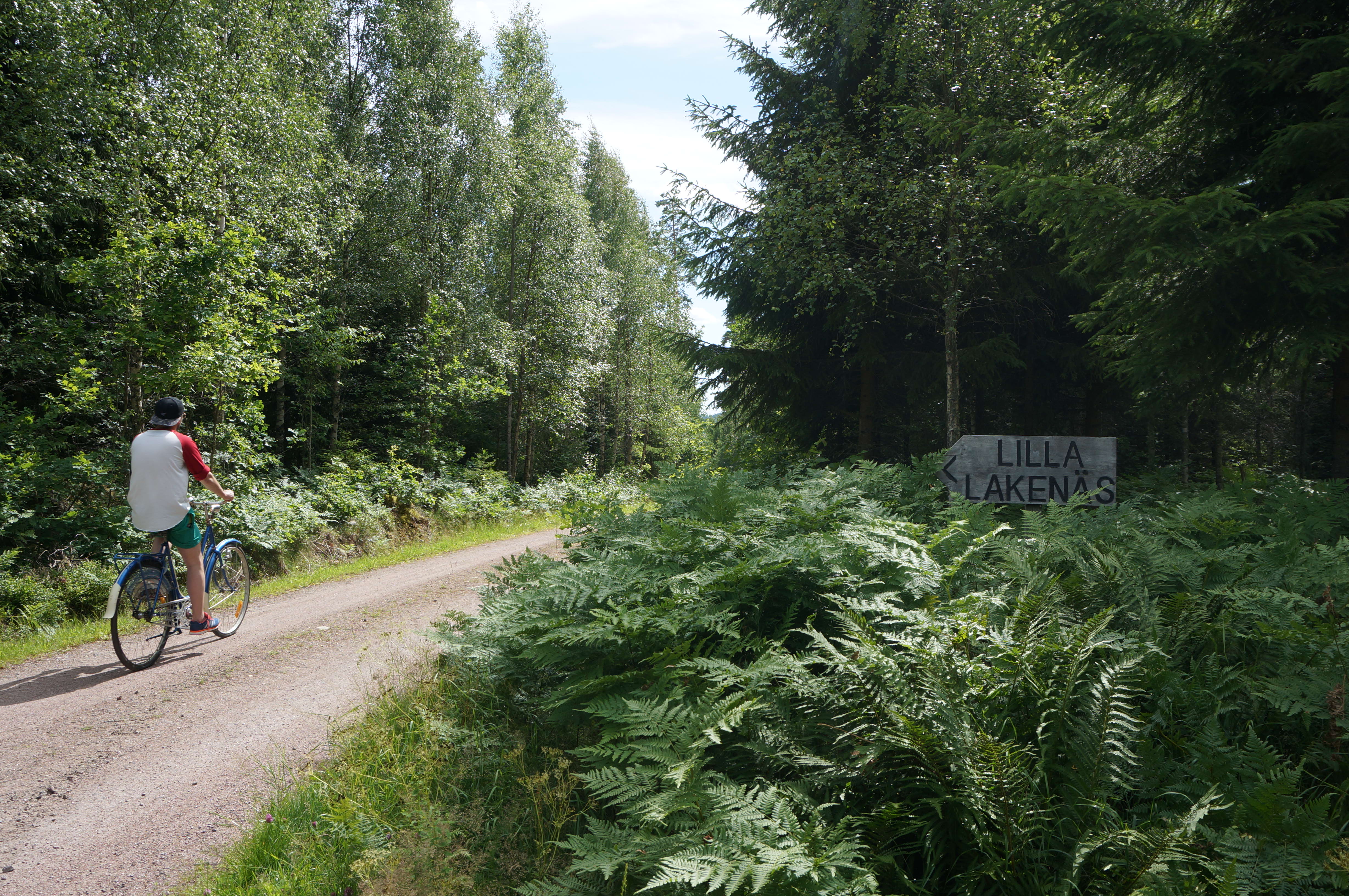 Cycling around Örlen