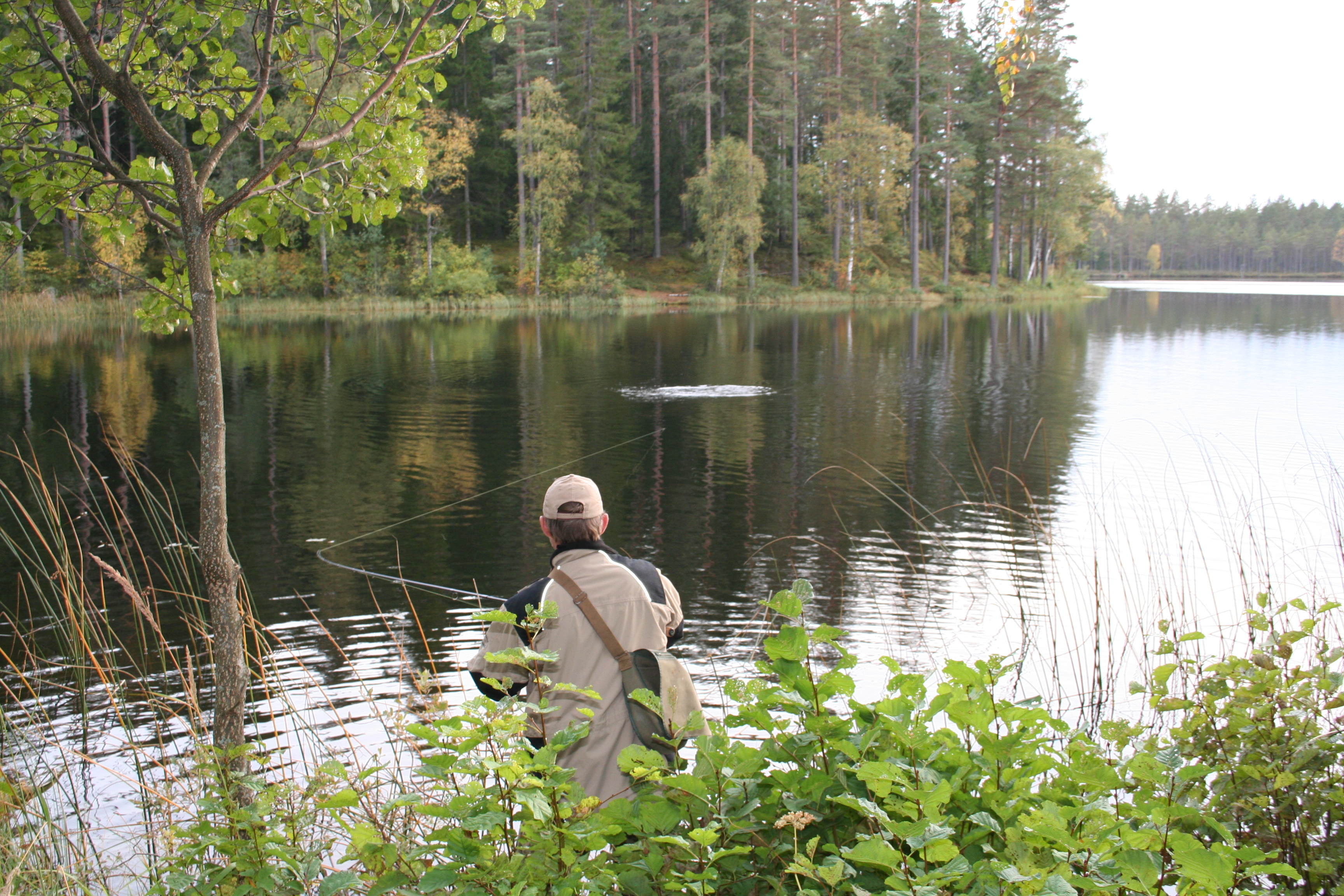 In foreground a person fishing with a throwing pond in a lake.