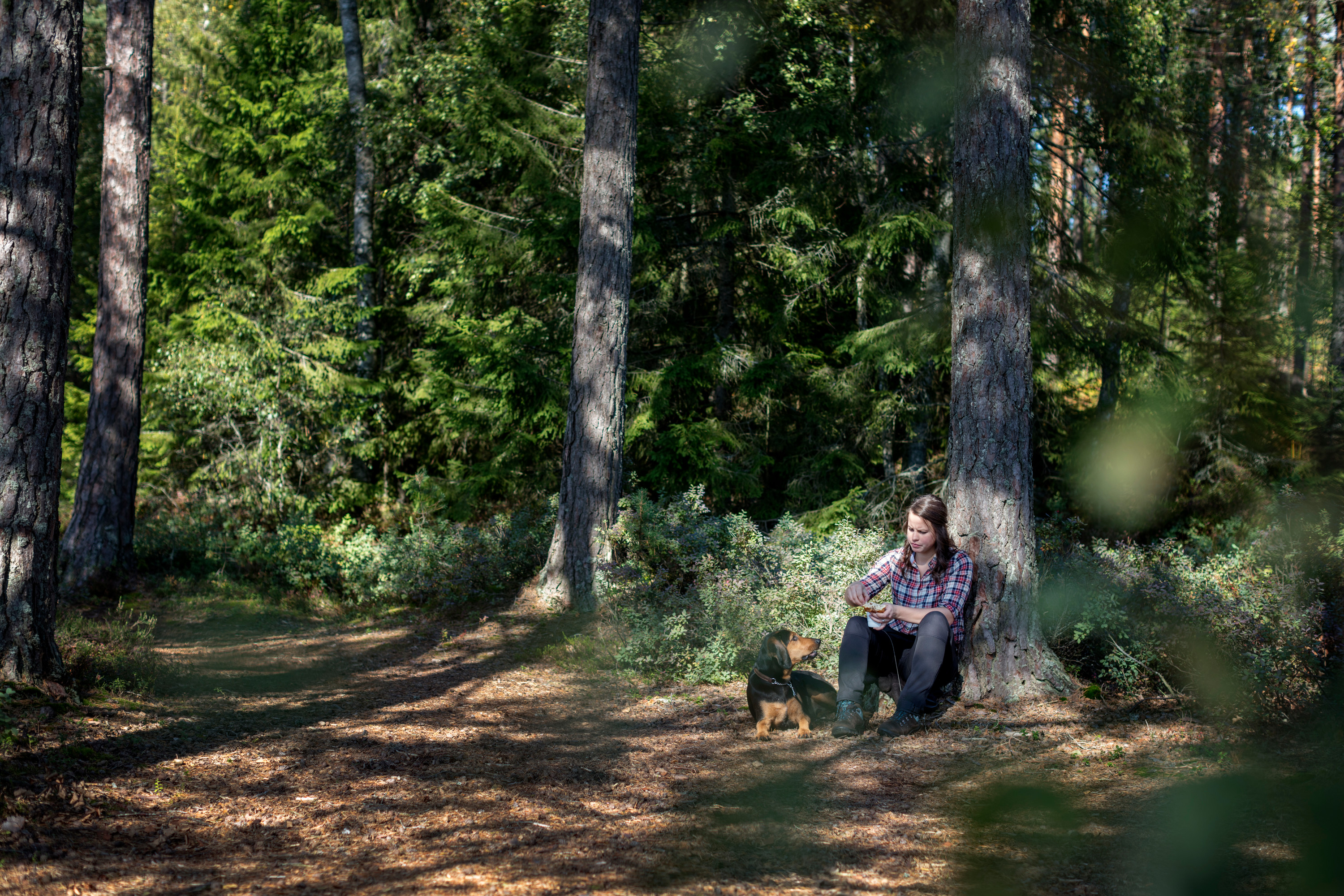 A woman with dog is sitting and resting against a tree at a path. At Hökensås hiking trail 11.5 km.