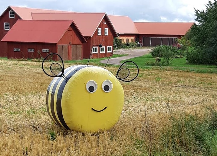
A round bale that is decorated so that it looks like a large, yellow bee with antennae and black stripes on the body
