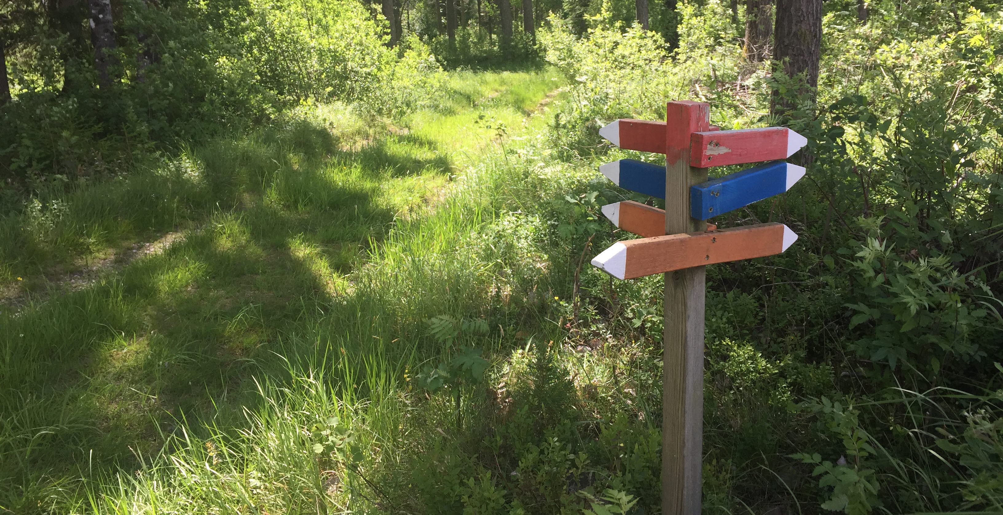 Joint markings Hökensås.