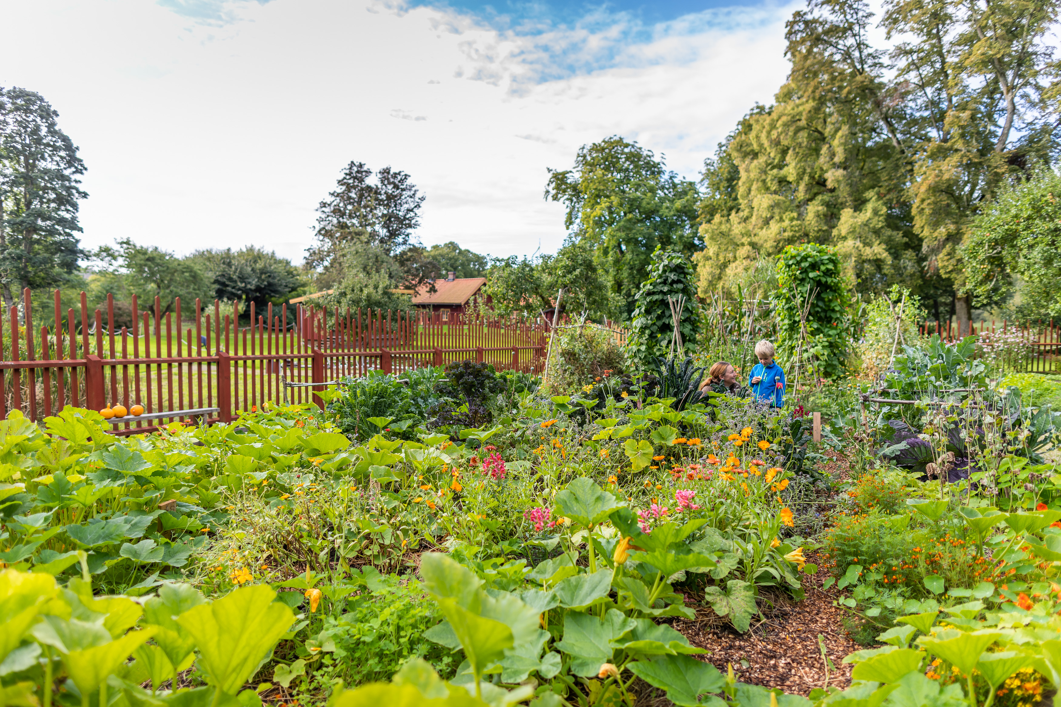 Sundsby Säteri, Tjörn 