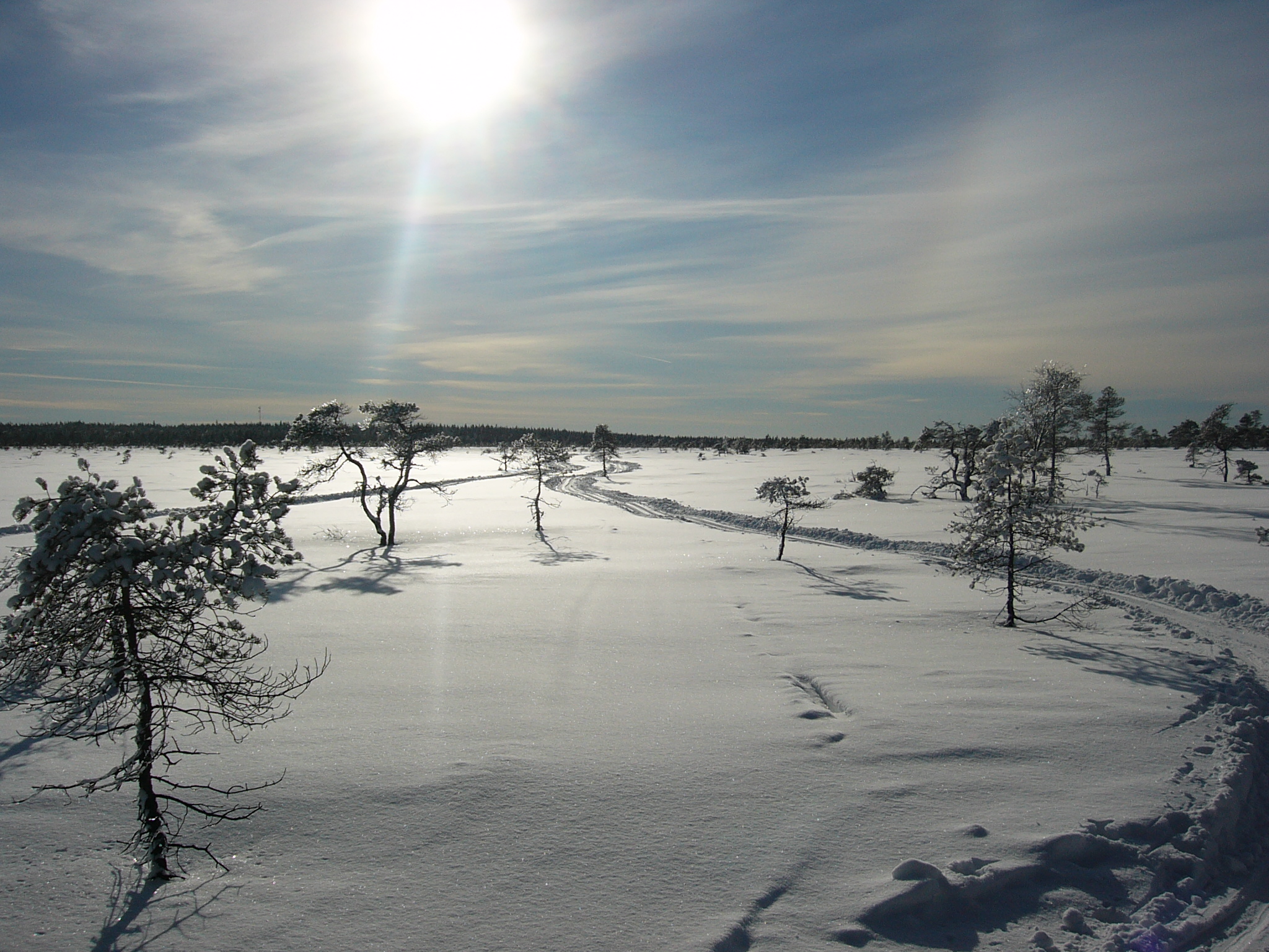 Skiing in Bohestra mosse