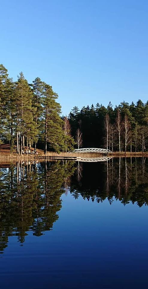 Lake with a bridge