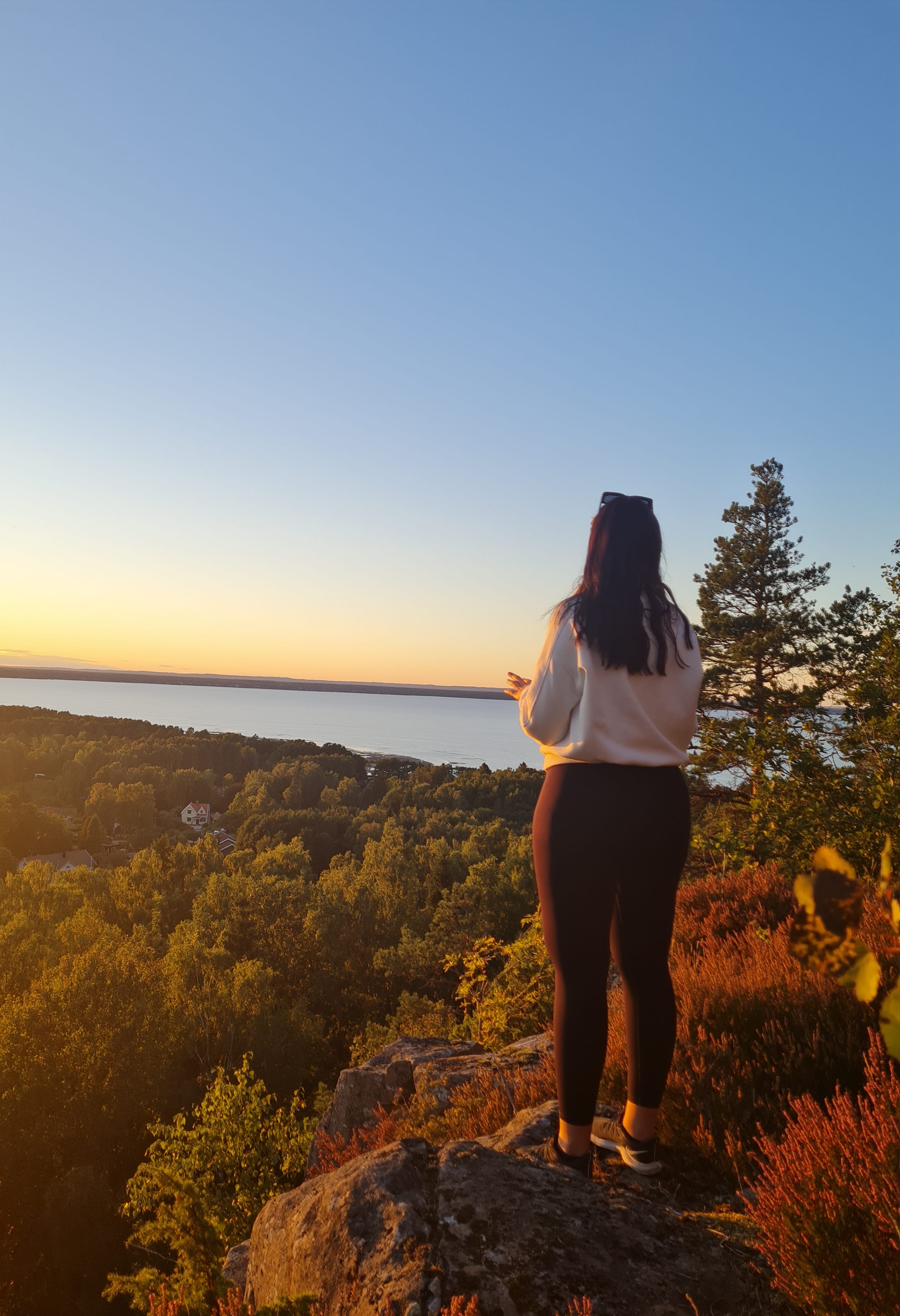 A person standing on a viewing platform and looking out over forests and Lake Vänern.