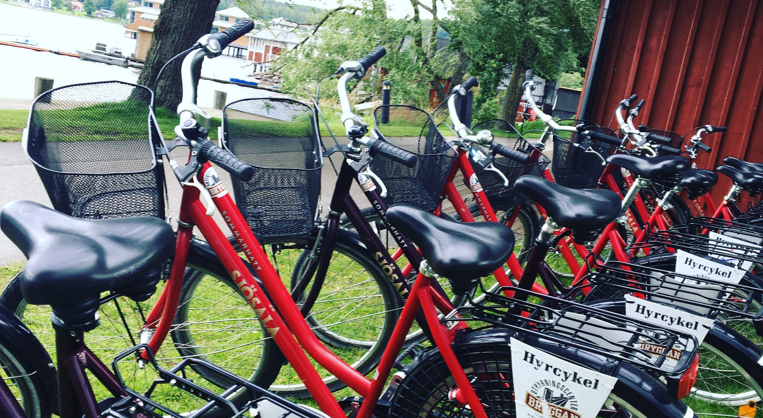 A line with red bikes