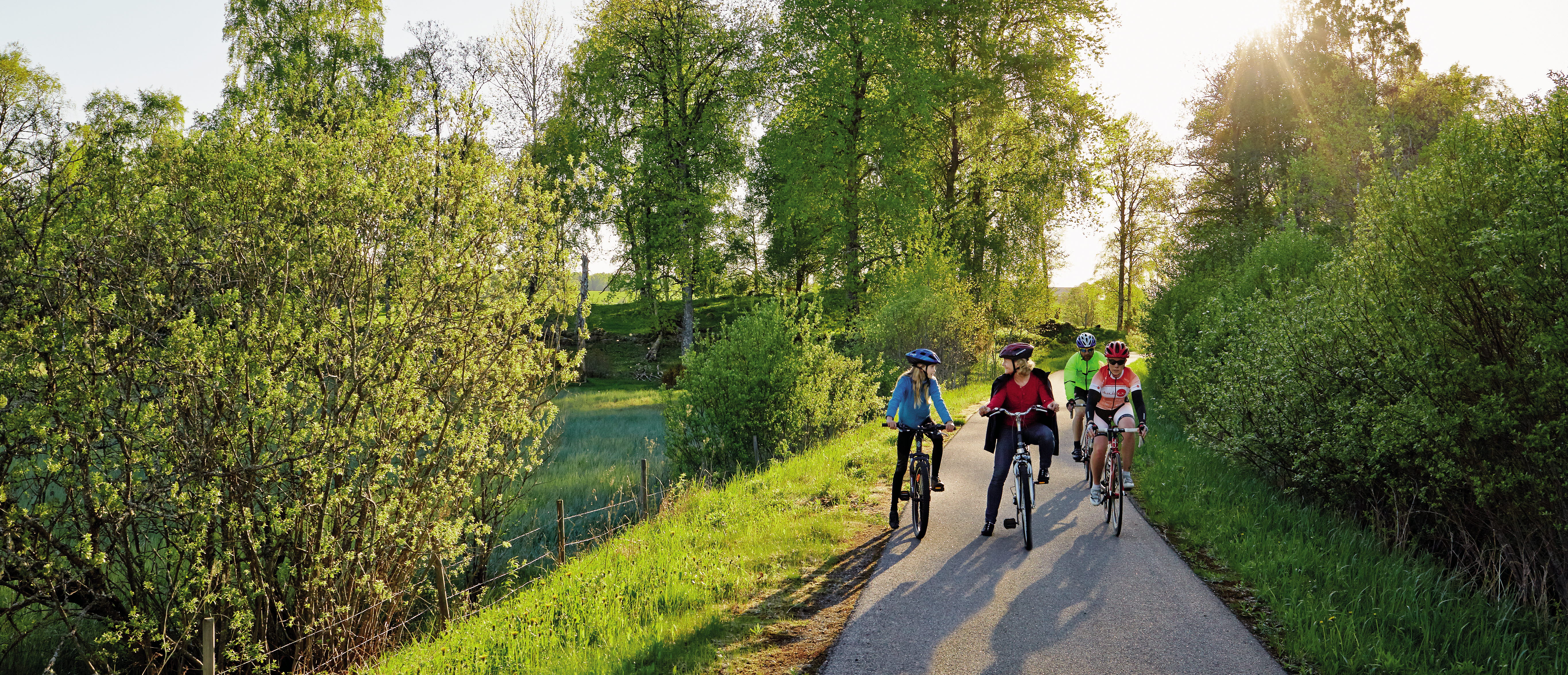 cyklist on a small summer road
