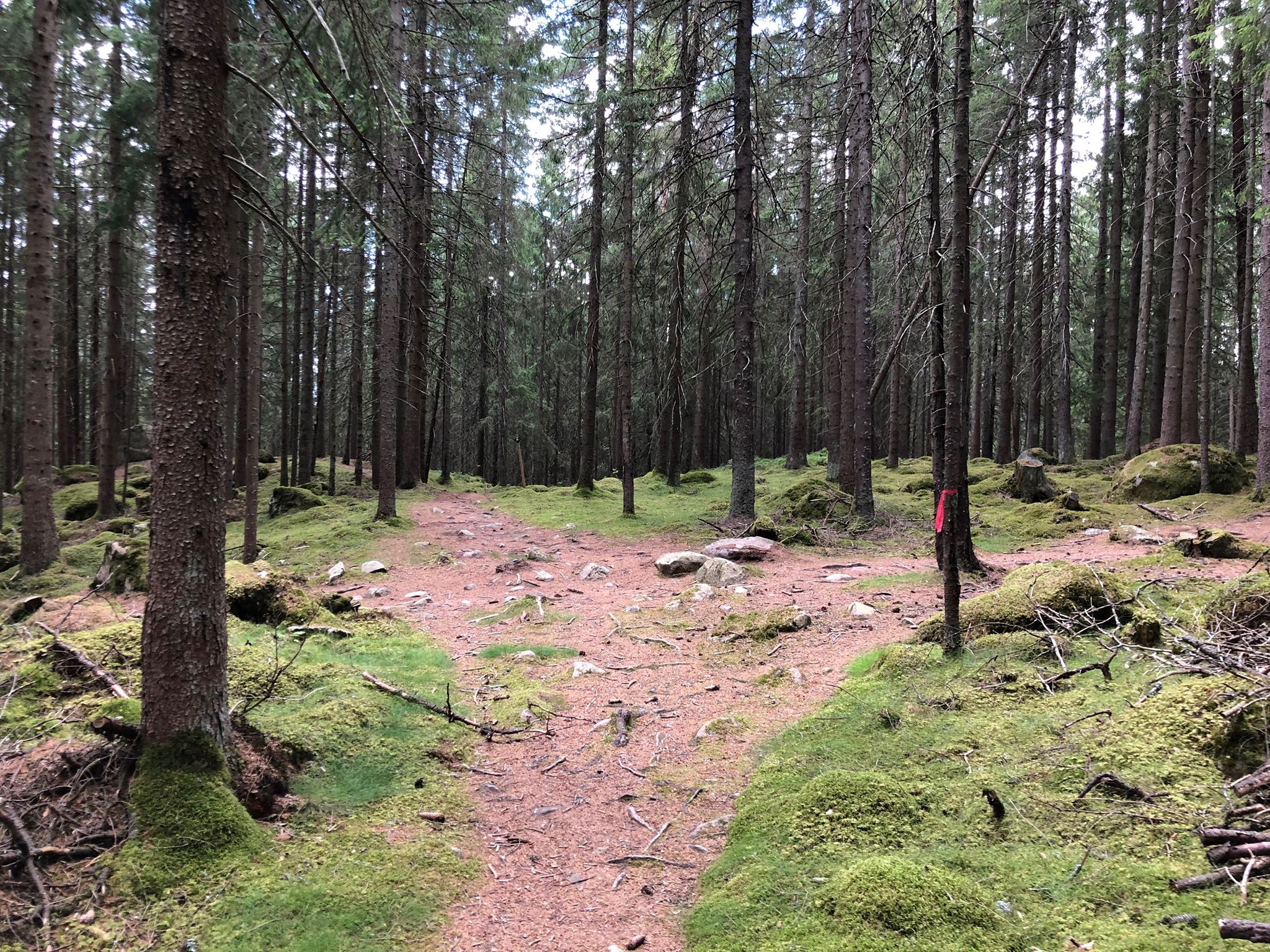 Lassalyckan is perfect for trailrunning and walking. 