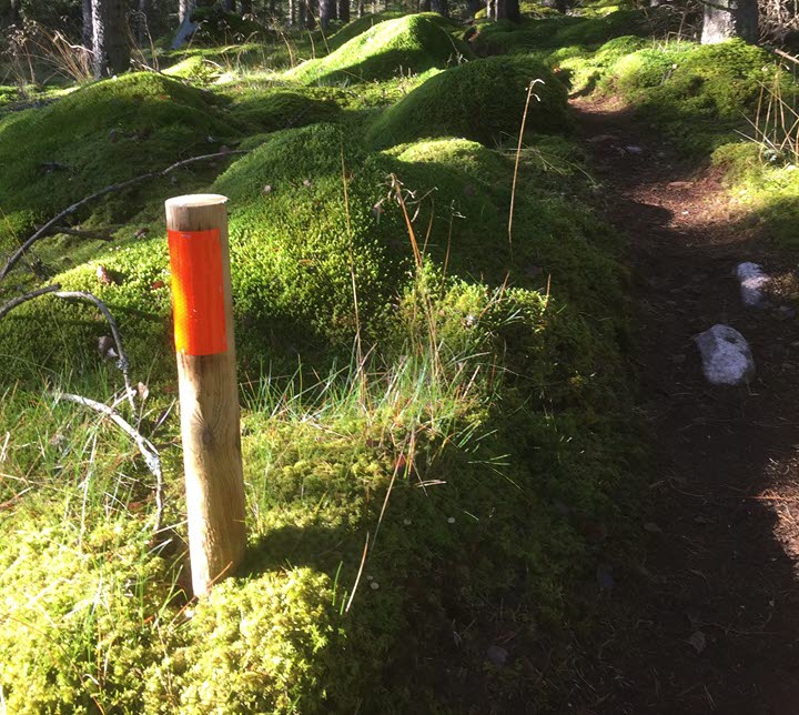 Trail in Ulricehamn. 