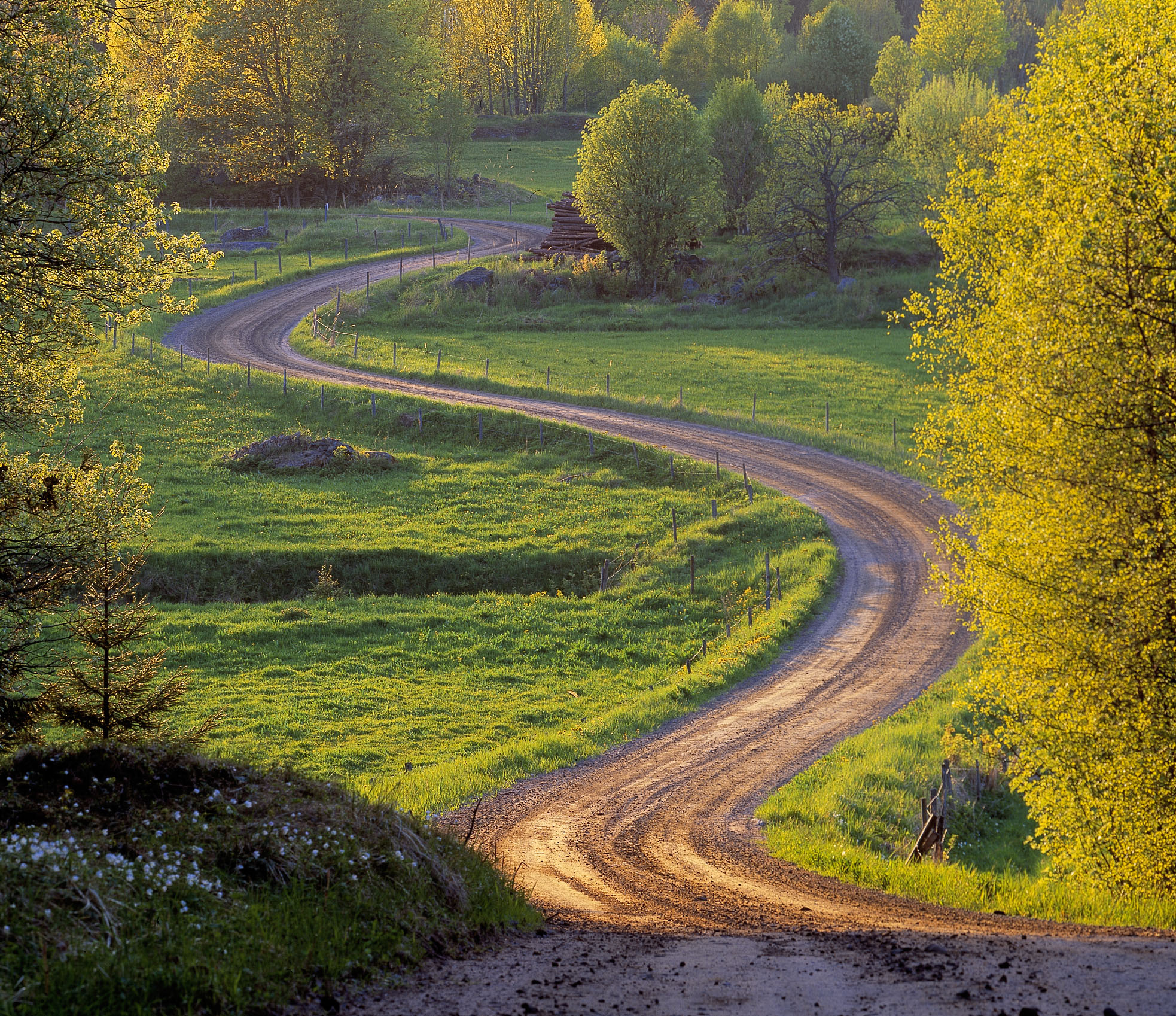 Gravel road through summer landscape
